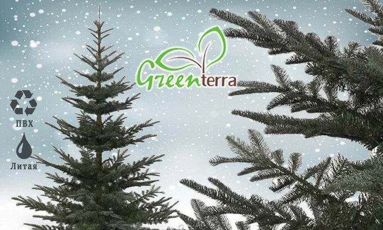 Пихта GreenTerra Нобилис 2.1 м