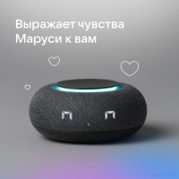 Умная колонка VK Капсула Мини (темно-серый)