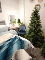 Ель Beatrees Anson 2.4м (1031924)