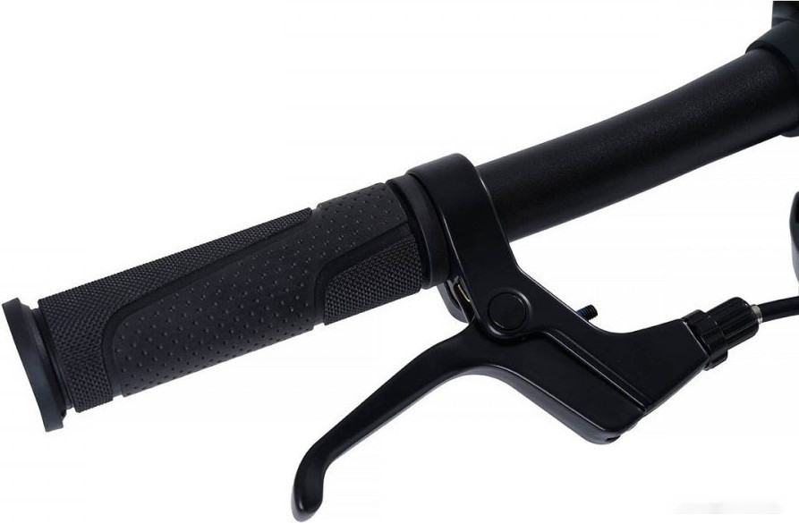 Детский велосипед Maxiscoo S007 Pro 2024 (бронзовый) Детский велосипед Maxiscoo S007 Pro 2024 (бронзовый)