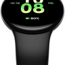 Умные часы Honor Watch Fit IVY-B19С (черный)