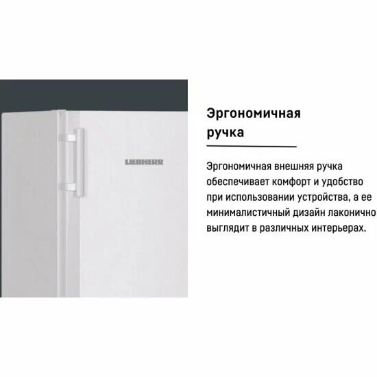 Однокамерный холодильник Liebherr Ke 2834 Comfort Однокамерный холодильник Liebherr Ke 2834 Comfort