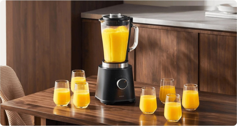 Блендер Xiaomi MLLJ001CM-1A (с евровилкой)