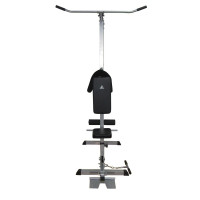Силовая станция DFC Homegym HM019
