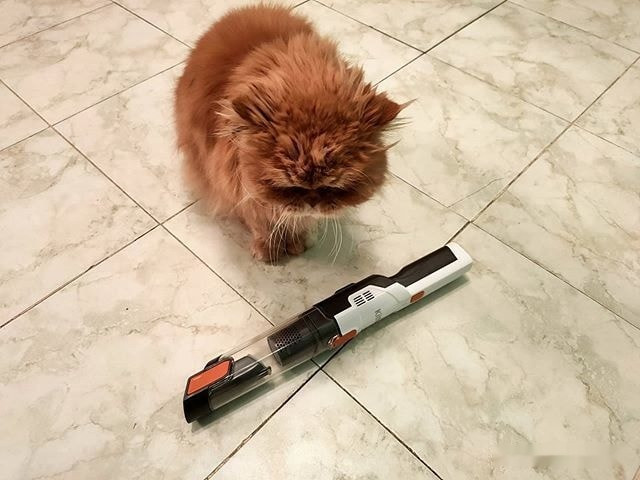 Пылесос Kitfort KT-579 Пылесос Kitfort KT-579