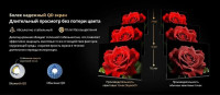 Телевизор Skyworth 55X66H