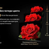 Телевизор Skyworth 55X66H Телевизор Skyworth 55X66H