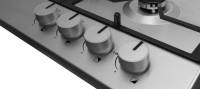 Варочная панель Hansa BHGI610391