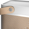 Портативная акустика Bang & Olufsen Beolit 20 (серый)