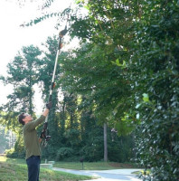 Аккумуляторный кусторез Worx WG252E.9