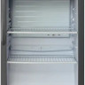 Торговый холодильник Бирюса W152 Торговый холодильник Бирюса W152