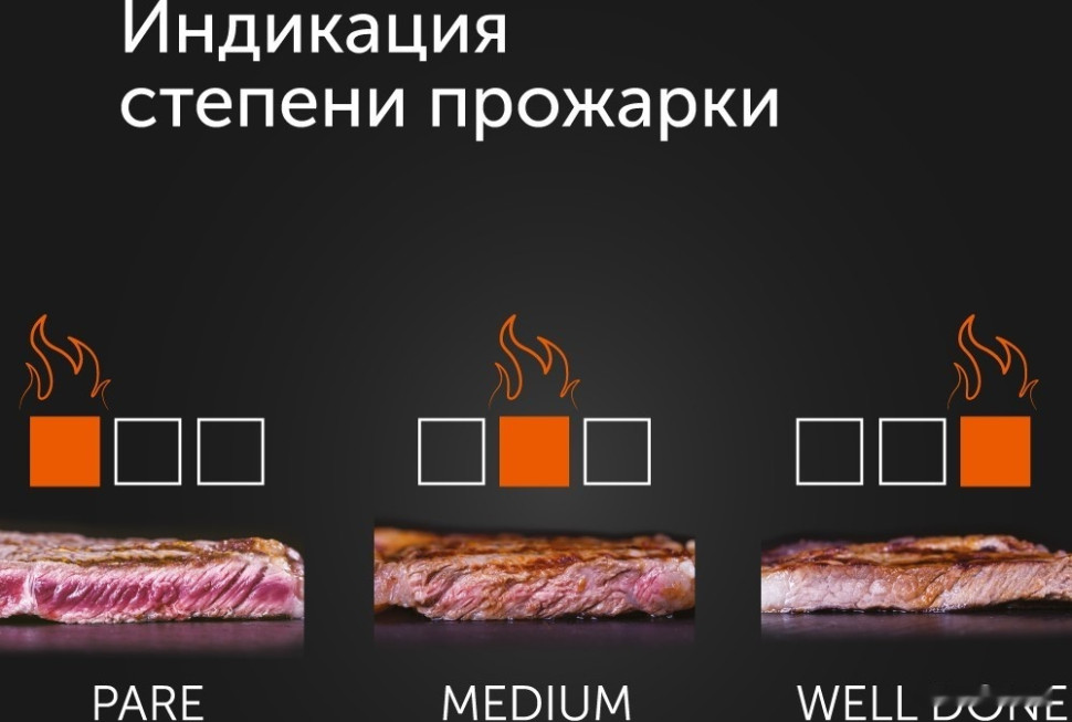 Электрогриль RED Solution SteakPro RGM-M816P Электрогриль RED Solution SteakPro RGM-M816P