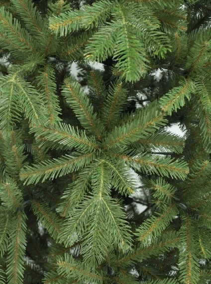 Ель Beatrees Флора 2.4м (1033224) Ель Beatrees Флора 2.4м (1033224)