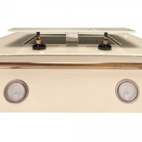 Вытяжка ZorG Technology Classic 750 60 M бежевая + релинг бронза