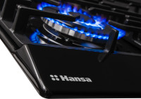 Варочная панель Hansa BHGS 611391