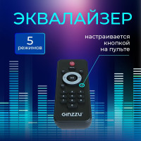 Портативная акустика Ginzzu GM-118