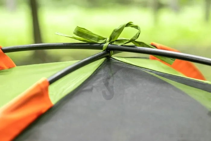 Палатка Coyote Cepheus-3 (зеленый) Палатка Coyote Cepheus-3 (зеленый)