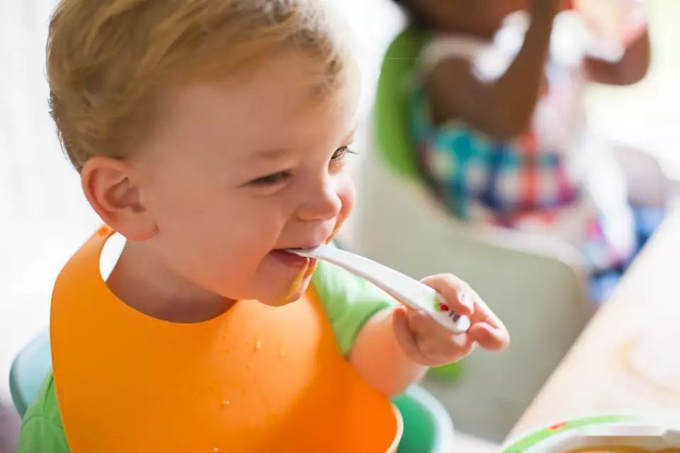 Блендер Philips Avent SCF870/20 Блендер Philips Avent SCF870/20