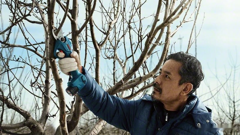 Секатор Bosch Pro Pruner Professional 06019K1021 (с 2-мя АКБ) Секатор Bosch Pro Pruner Professional 06019K1021 (с 2-мя АКБ)
