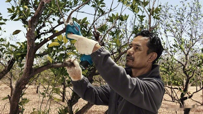 Секатор Bosch Pro Pruner Professional 06019K1021 (с 2-мя АКБ) Секатор Bosch Pro Pruner Professional 06019K1021 (с 2-мя АКБ)