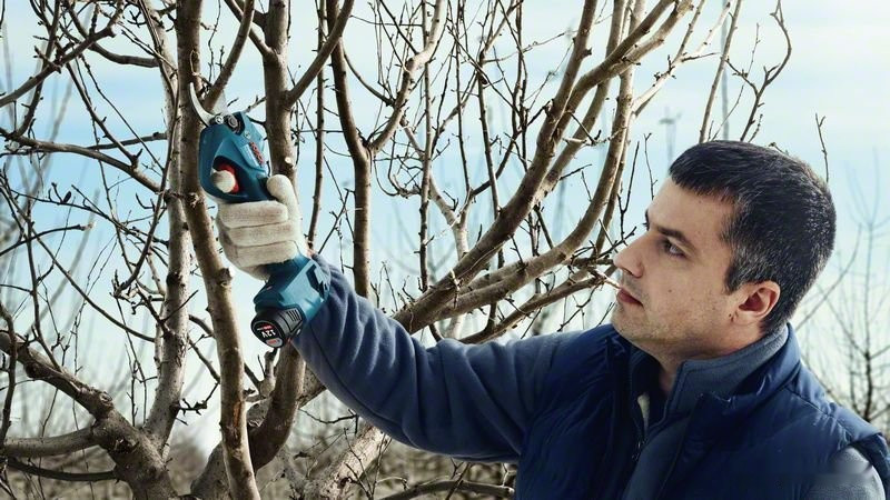 Секатор Bosch Pro Pruner Professional 06019K1021 (с 2-мя АКБ) Секатор Bosch Pro Pruner Professional 06019K1021 (с 2-мя АКБ)