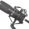 Микрофон Genesis Radium 400 Микрофон Genesis Radium 400