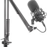 Микрофон Genesis Radium 400 Микрофон Genesis Radium 400