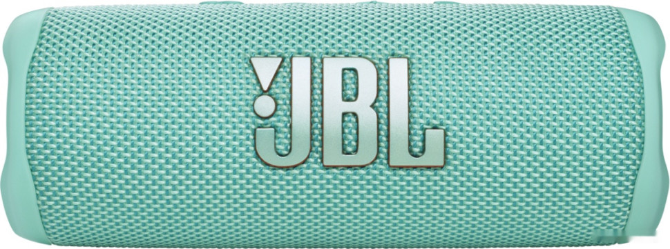 Портативная акустика JBL Flip 6 (бирюзовый)