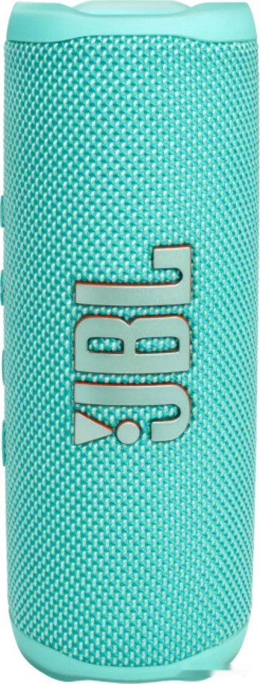 Портативная акустика JBL Flip 6 (бирюзовый)