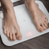 Напольные весы Picooc S1 Pro V2 (белый) Напольные весы Picooc S1 Pro V2 (белый)