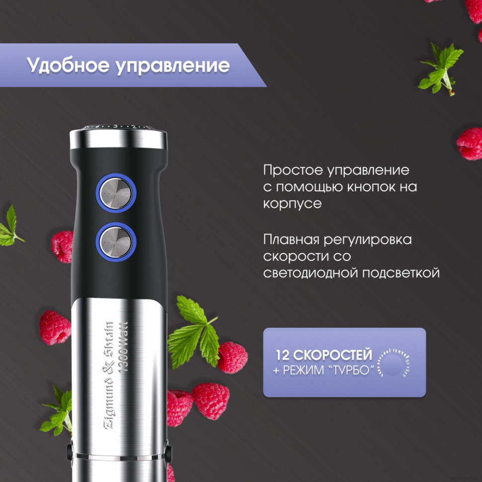 Блендер Zigmund & Shtain BH-350 M