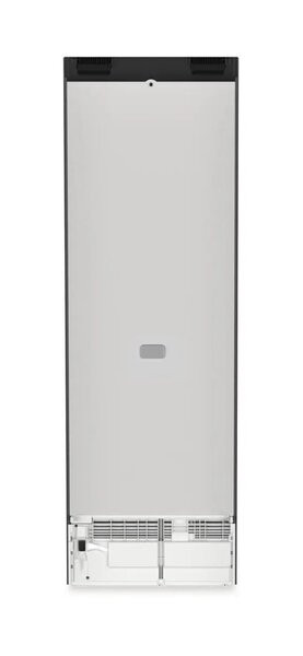 Однокамерный холодильник Liebherr SRbdd 5220 Plus Однокамерный холодильник Liebherr SRbdd 5220 Plus