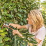 Секатор Bosch EasyPrune Секатор Bosch EasyPrune