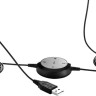 Наушники Jabra Evolve 20 MS Stereo Наушники Jabra Evolve 20 MS Stereo