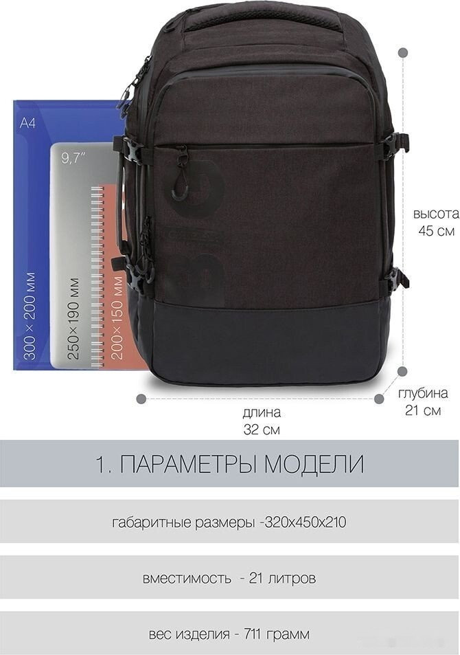 Рюкзак Grizzly RQ-019-21 (черный)