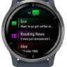 Умные часы Garmin Venu 2 (нержавеющая сталь/синий гранит)