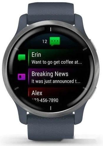 Умные часы Garmin Venu 2 (нержавеющая сталь/синий гранит)