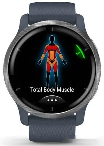 Умные часы Garmin Venu 2 (нержавеющая сталь/синий гранит)