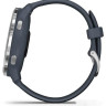 Умные часы Garmin Venu 2 (нержавеющая сталь/синий гранит)