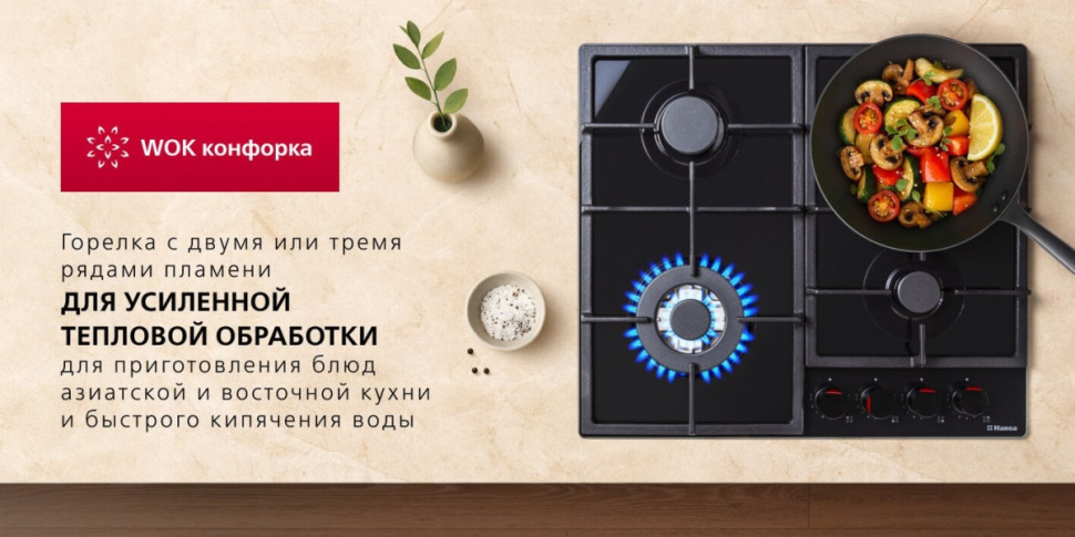 Варочная панель Hansa BHGS611839