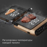 Электрогриль Redmond SteakMaster GM303 (бронзовый) Электрогриль Redmond SteakMaster GM303 (бронзовый)