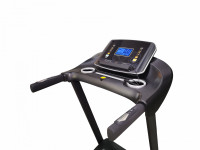 Беговая дорожка Royal Fitness RF-6