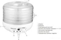 Сушилка для овощей и фруктов Galaxy Line GL2632