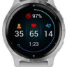 Умные часы Garmin Venu 2S (нержавеющая сталь/серый)