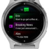Умные часы Garmin Venu 2S (нержавеющая сталь/серый)