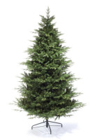 Ель Царь Елка Офелия 1.8 м