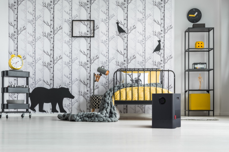 Мойка воздуха Boneco Air-O-Swiss W200A