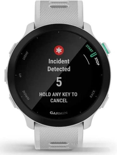 Умные часы Garmin Forerunner 55 (белый) Умные часы Garmin Forerunner 55 (белый)