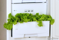 Холодильник Pozis RK-139 (белый)