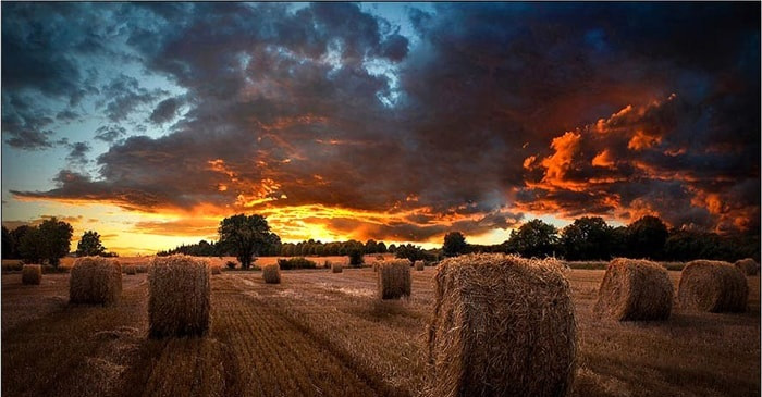 Информационная панель Samsung VM55T-U